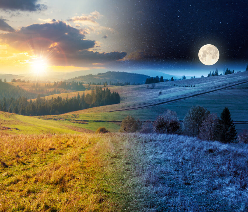 Day and night landscape split with sunlit fields and moonlit starry sky over a meadow.
